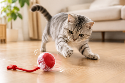 Bola Inteligente para Gato