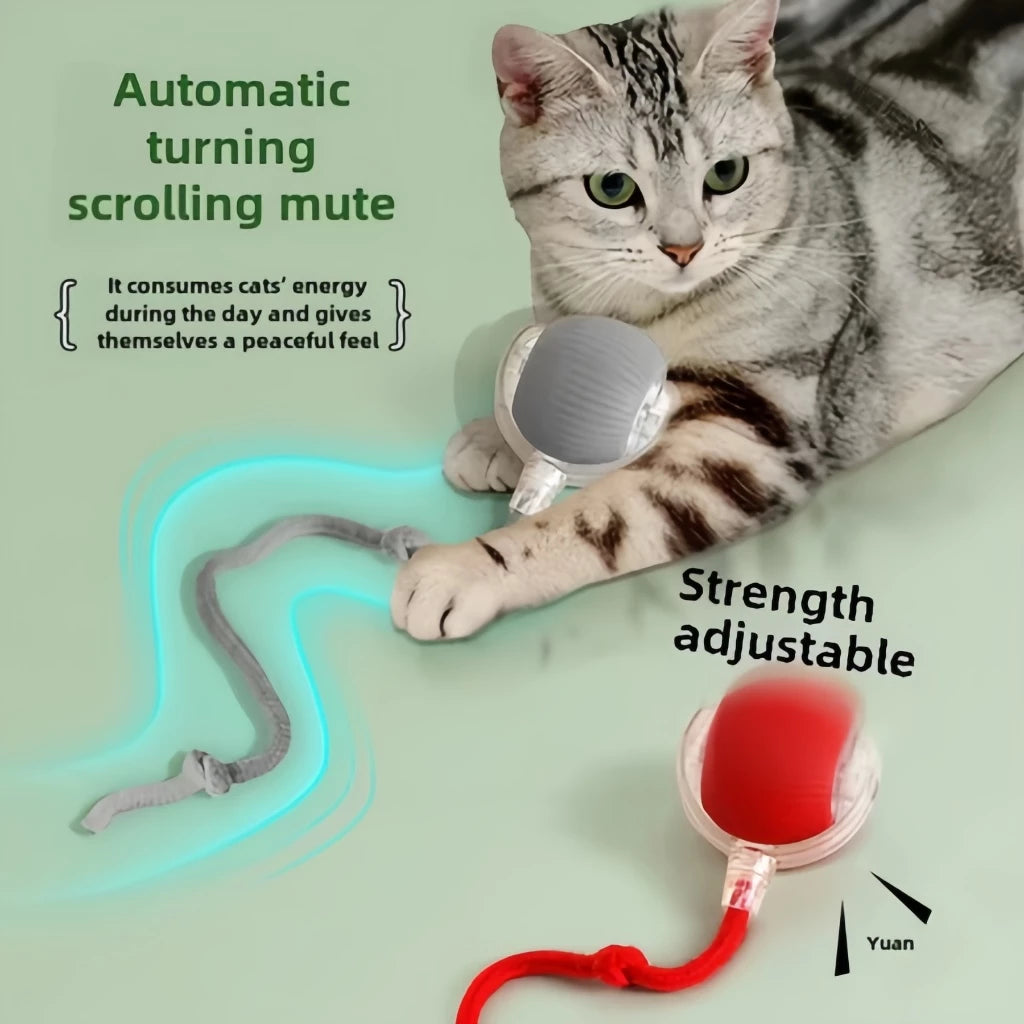 Bola Inteligente para Gato