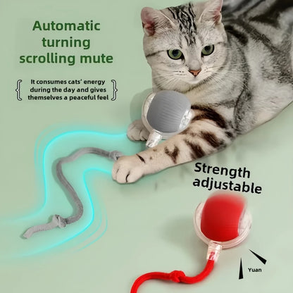 Bola Inteligente para Gato