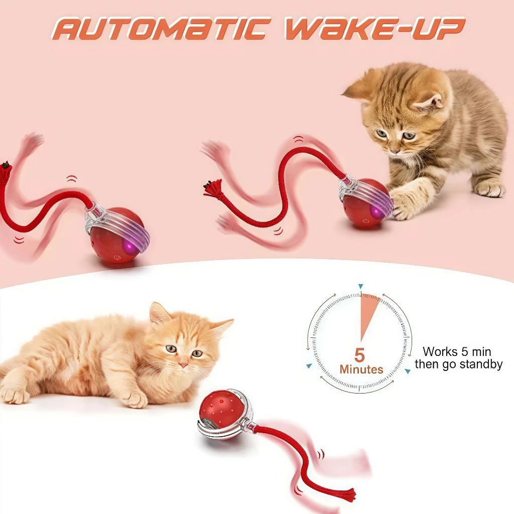Bola Inteligente para Gato